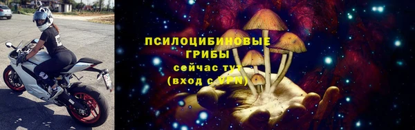 Альфа ПВП Горняк