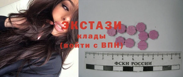 Альфа ПВП Горняк