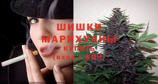 амф Горнозаводск
