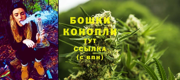 Альфа ПВП Горняк