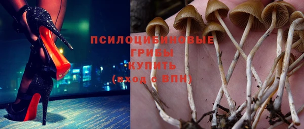 амф Горнозаводск